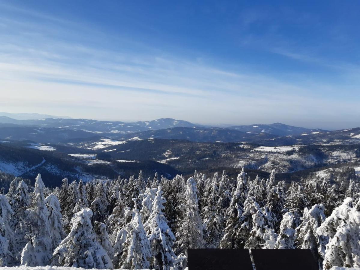Chata Goralska Wojtasowka Kamesznica Buitenkant foto