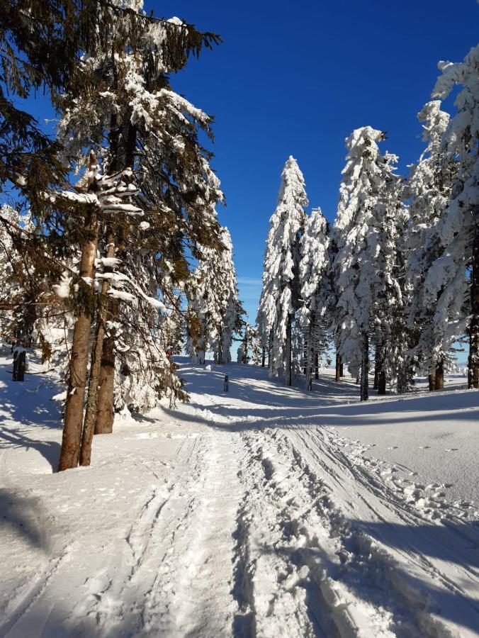 Chata Goralska Wojtasowka Kamesznica Buitenkant foto