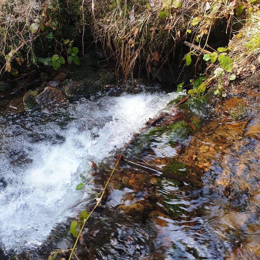 Chata Goralska Wojtasowka Kamesznica Buitenkant foto