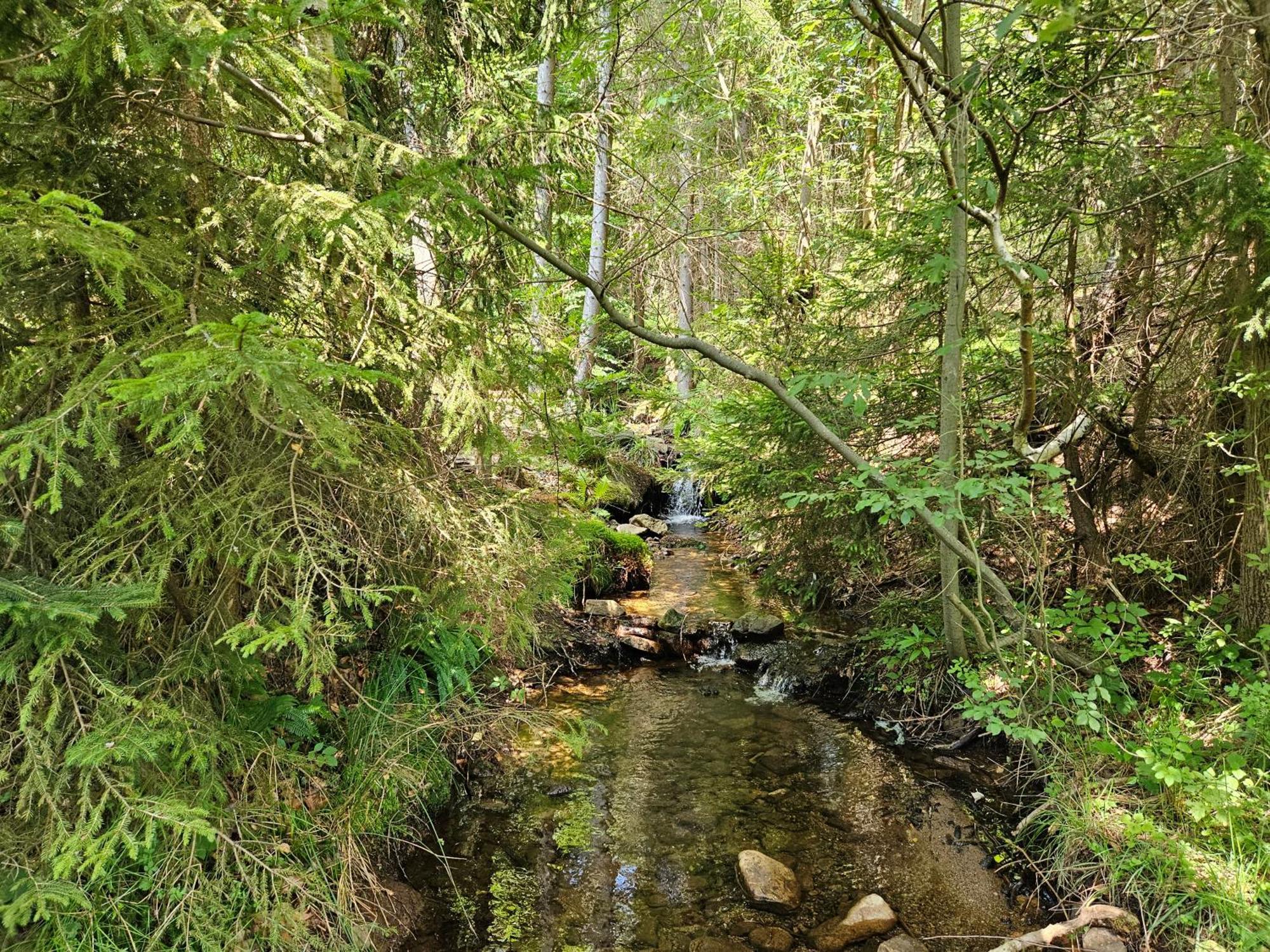 Chata Goralska Wojtasowka Kamesznica Buitenkant foto