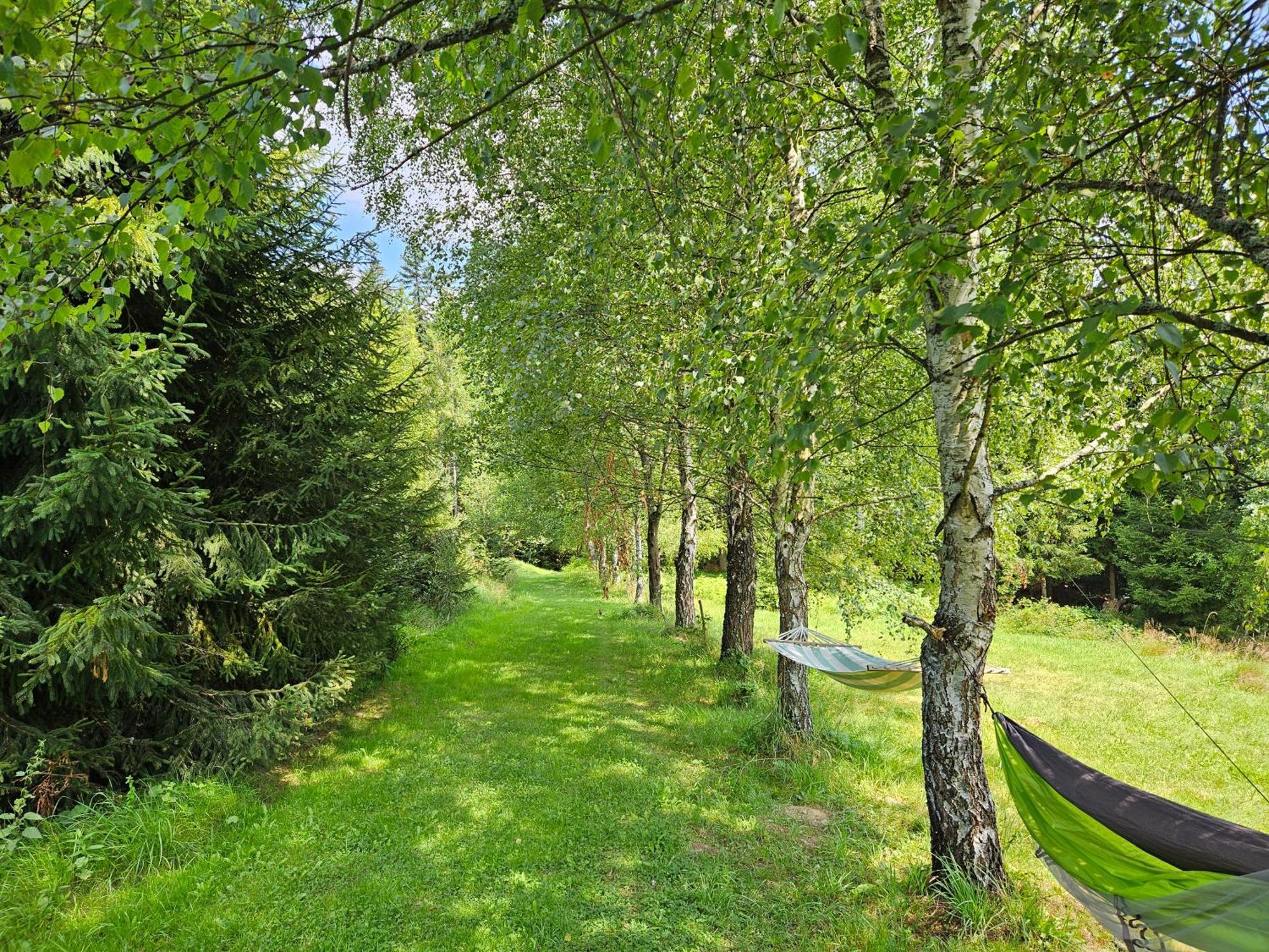 Chata Goralska Wojtasowka Kamesznica Buitenkant foto