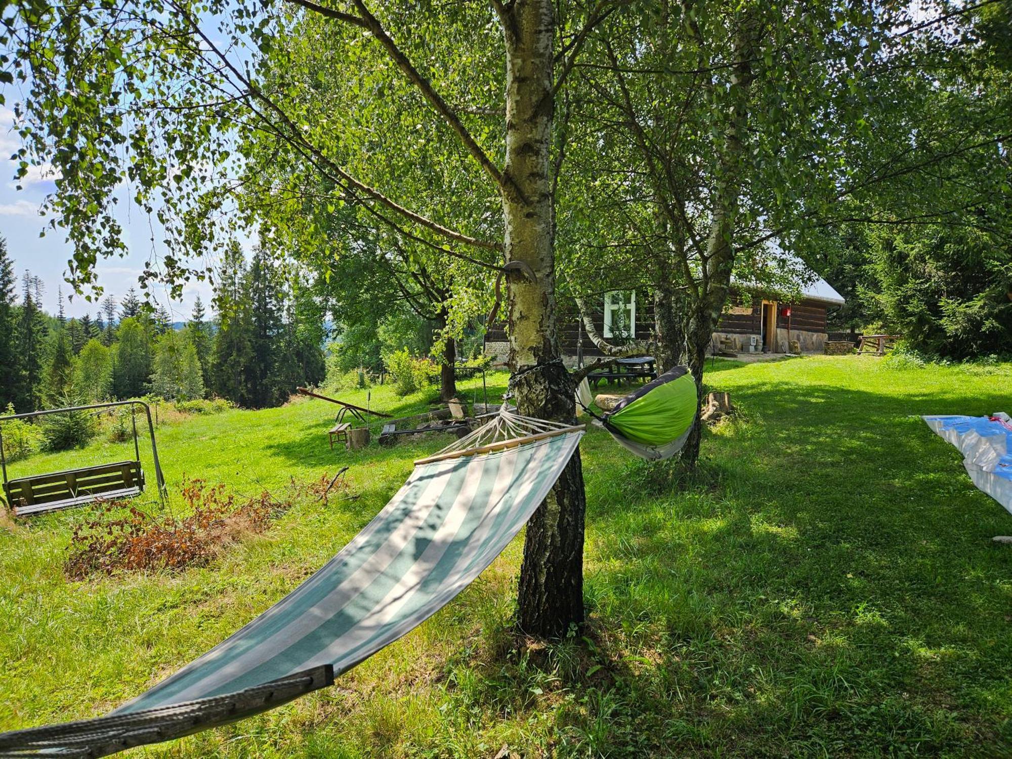 Chata Goralska Wojtasowka Kamesznica Buitenkant foto