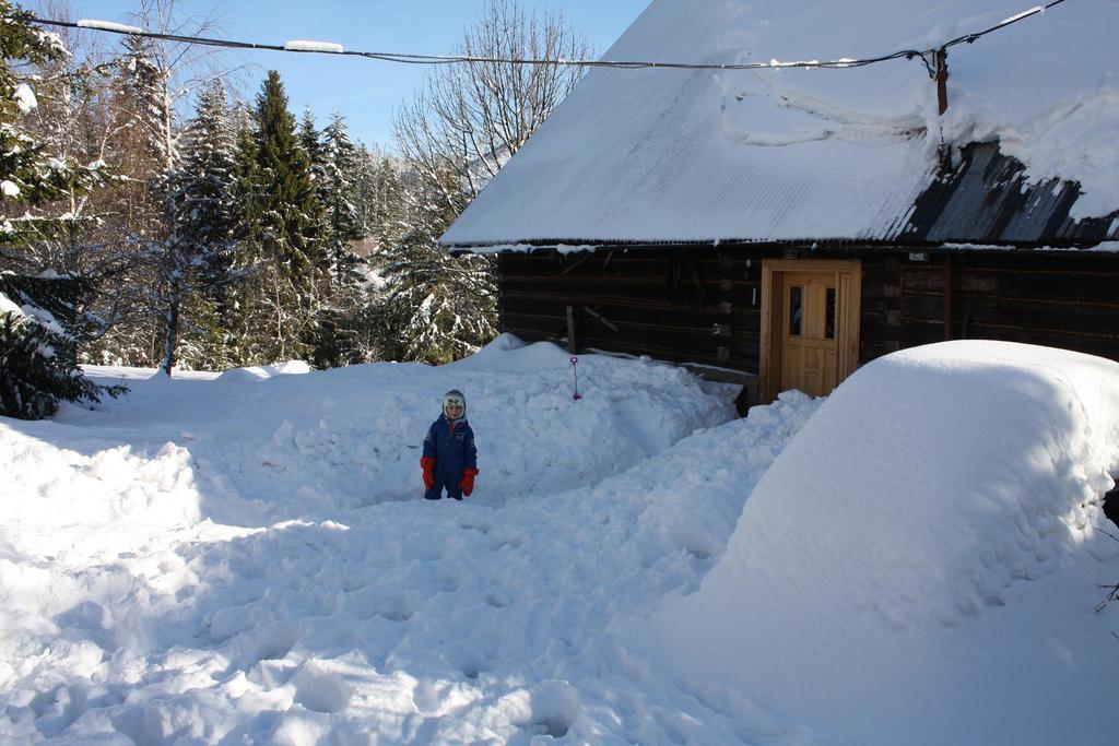 Chata Goralska Wojtasowka Kamesznica Buitenkant foto