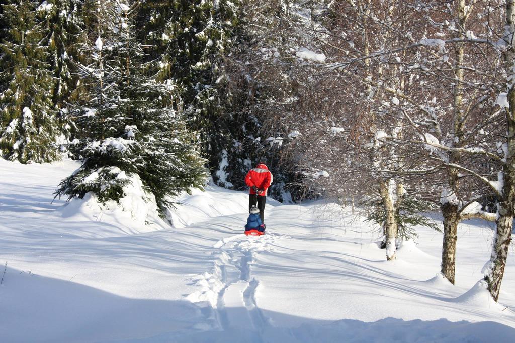 Chata Goralska Wojtasowka Kamesznica Buitenkant foto