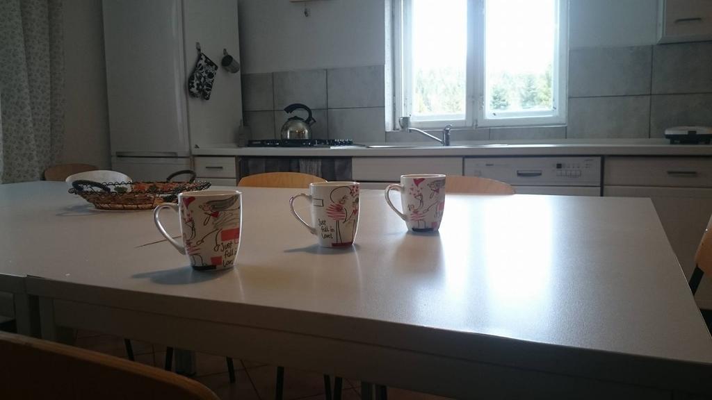 Chata Goralska Wojtasowka Kamesznica Buitenkant foto