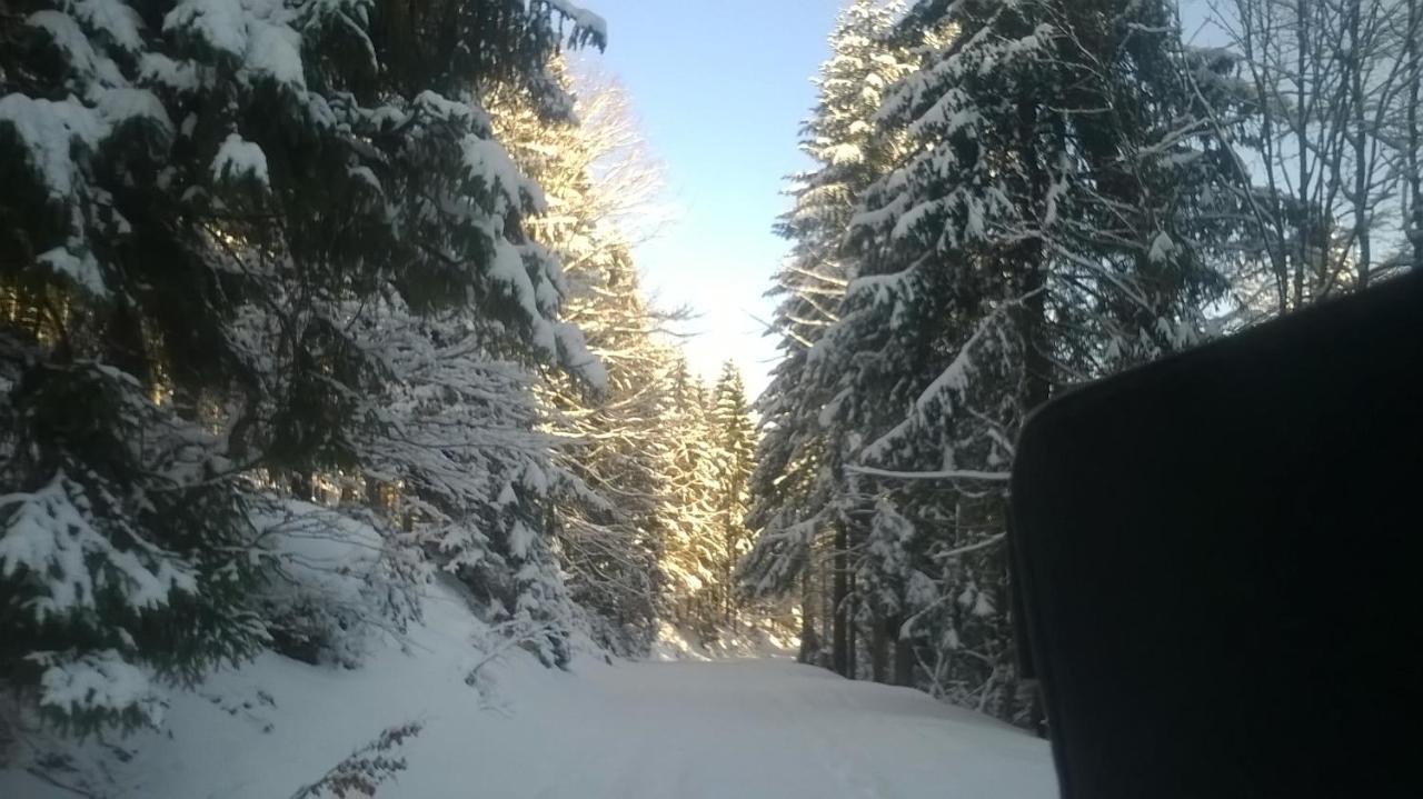 Chata Goralska Wojtasowka Kamesznica Buitenkant foto