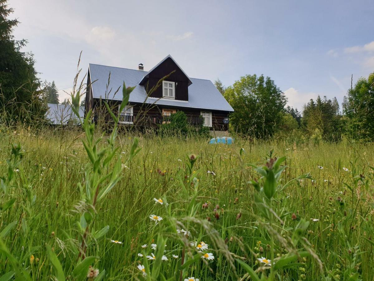 Chata Goralska Wojtasowka Kamesznica Buitenkant foto